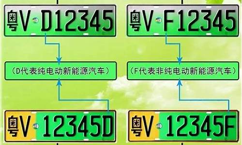 新能源汽车牌照申请流程_新能源电动汽车牌照怎么办理